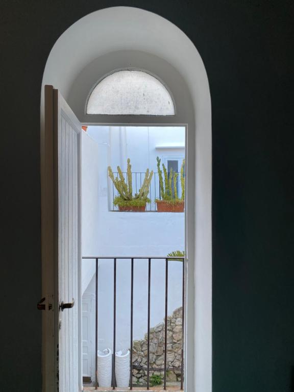 Fotografie z fotogalerie ubytování Suites Edivino Design Capri v Capri