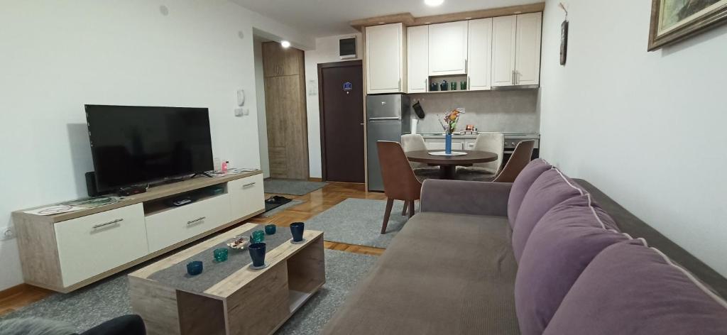 TV a/nebo společenská místnost v ubytování Apartman N&N