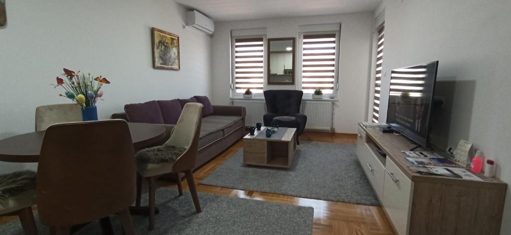 ein Wohnzimmer mit einem Sofa und einem TV in der Unterkunft Apartman N&N in Vrnjačka Banja