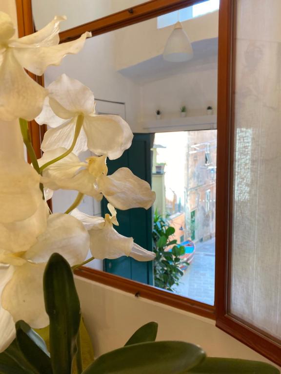 a white flower sitting in front of a mirror at La Verde di Vernazza - Art Studio - AC&WiFi - Vernazzarentals in Vernazza