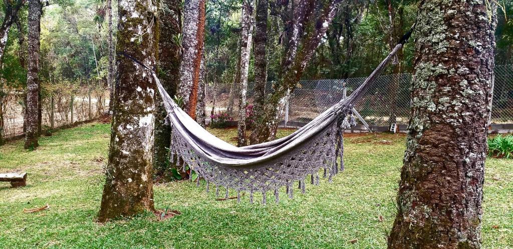  Bosque das Araucárias
