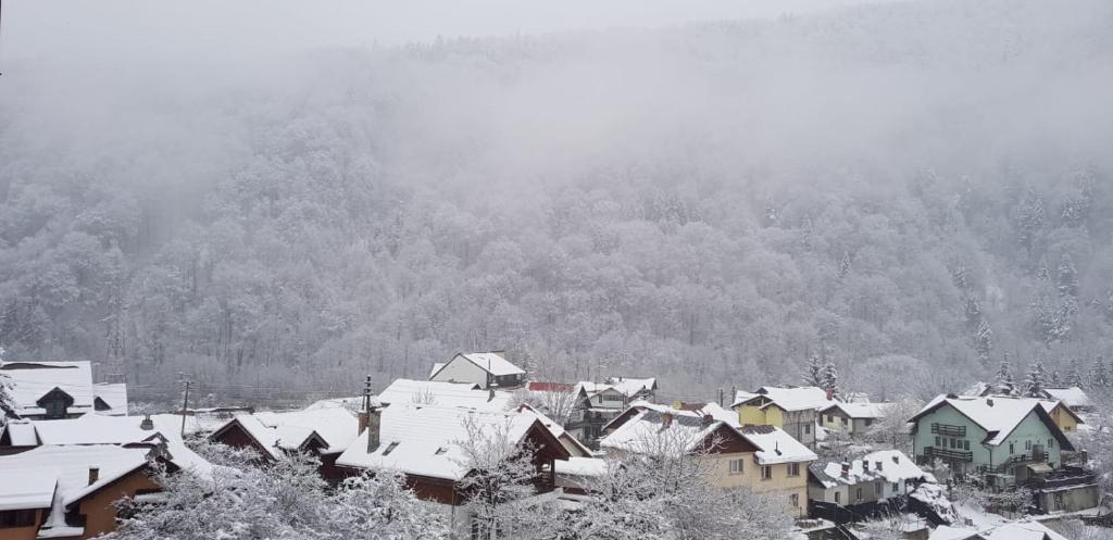 Elite Apartments Sinaia - Deluxe King Studio