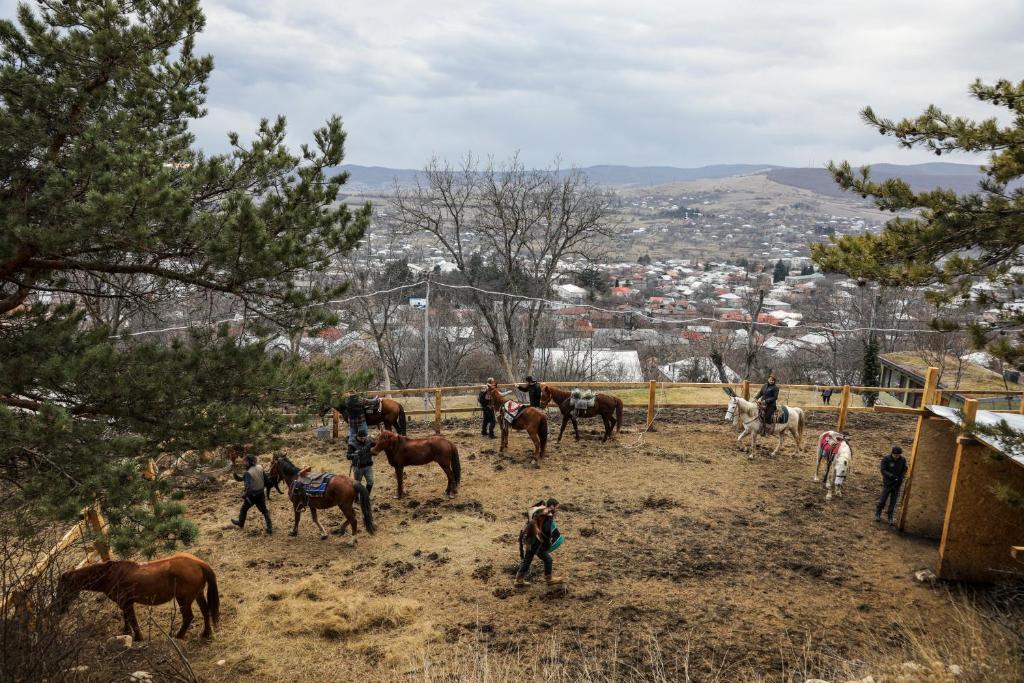 Zvířata v prázdninového domu nebo okolí