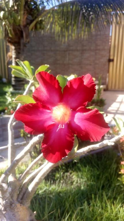  Pousada Rosa do Deserto