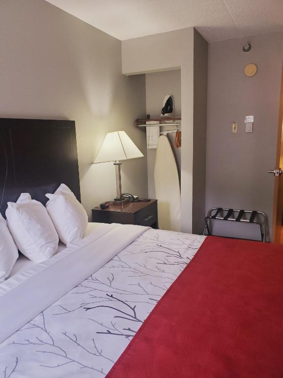 Blackstone Lodge and Suites - Salle De Roi