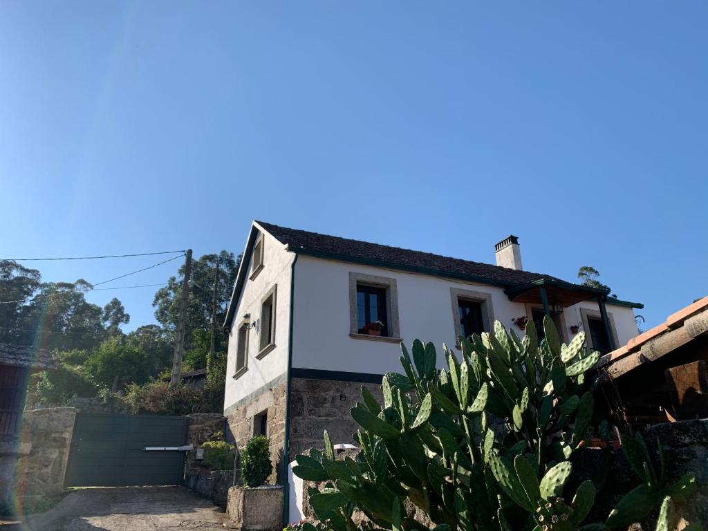 Casa gallega con encanto en plena naturaleza