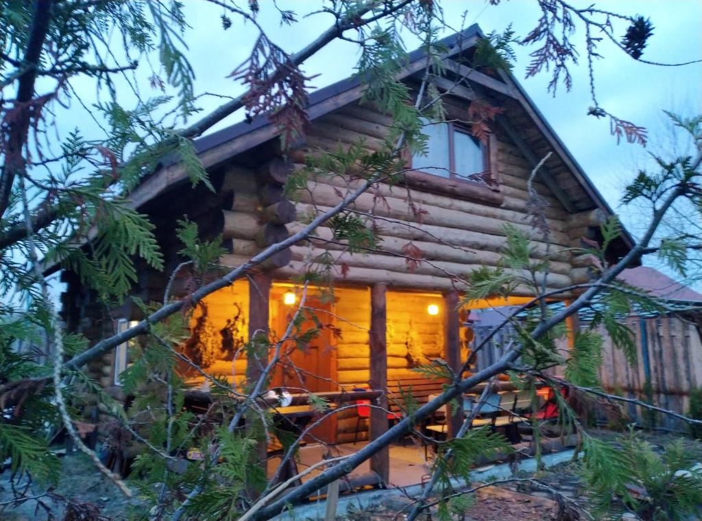 uma cabana de madeira na floresta à noite em Котедж ,,Чудовий"з банькою em Novaya Greblya