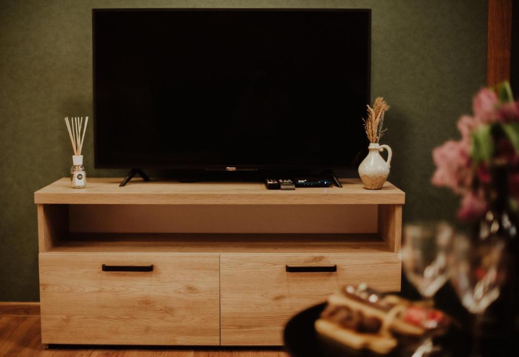 TV a/nebo společenská místnost v ubytování Luxury inn