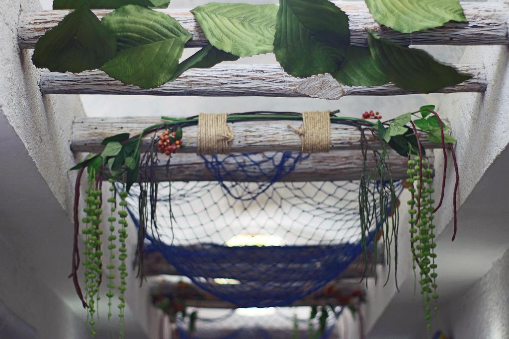 Foto da galeria de Itzé Hostel em Isla Mujeres