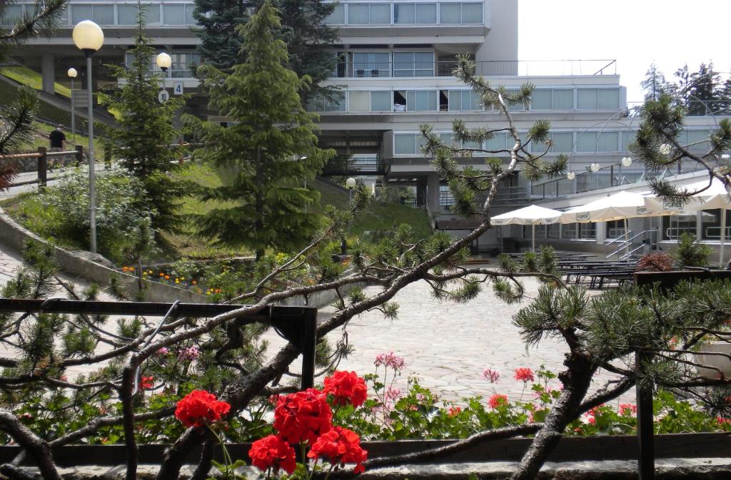Fotografie z fotogalerie ubytování Hotel Solaria v destinaci Marilleva