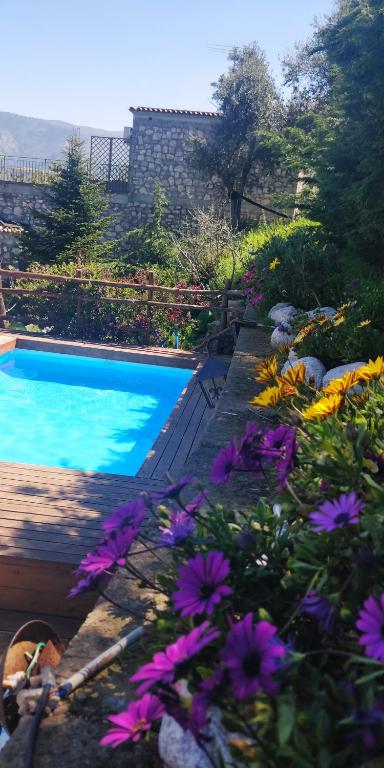 Giardino 21 Marzo - 9