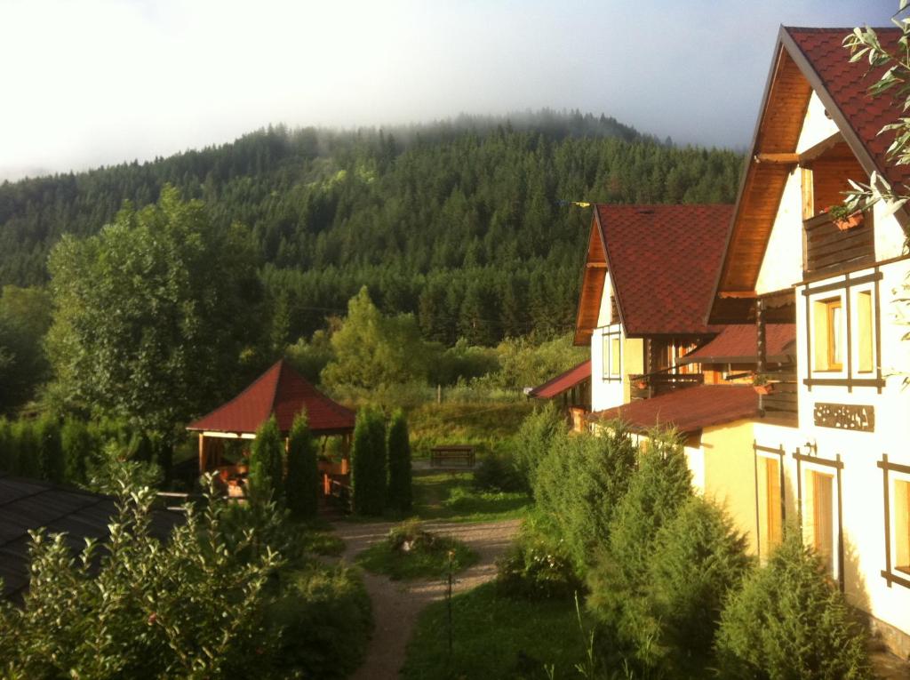 Blick auf ein Dorf mit einem Berg im Hintergrund in der Unterkunft Pensiunea Liliana in Câmpulung Moldovenesc