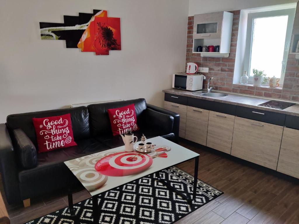 Kuchyň nebo kuchyňský kout v ubytování Apartman Biskupice