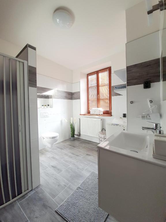 Kuchyň nebo kuchyňský kout v ubytování Apartmán Špálovka