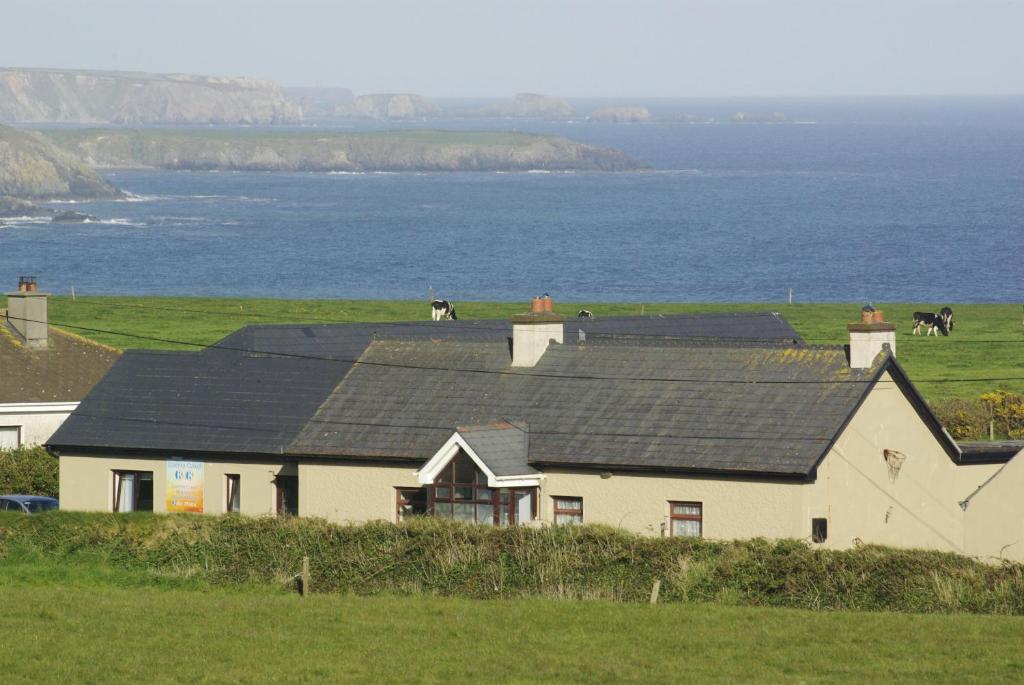 Copper Coast B&B في Bunmahon: منزل فيه خيول في حقل بجانب المحيط