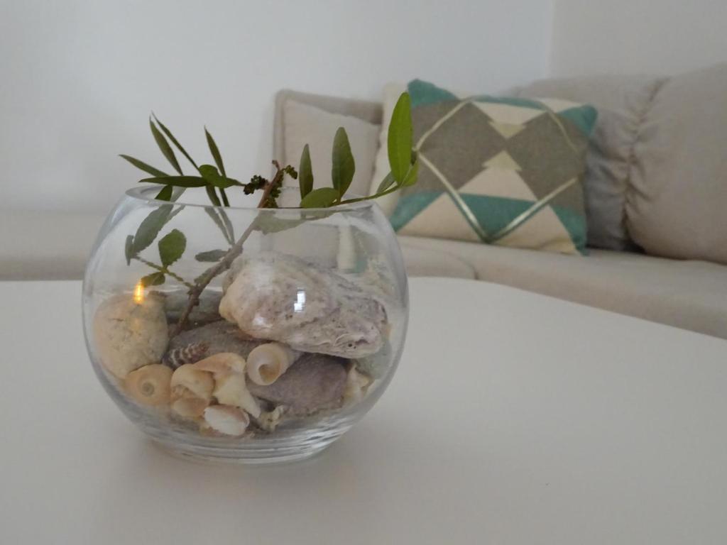 eine Glasvase voller Steine und Pflanzen in der Unterkunft Eco Apartments Kate in Suđurađ