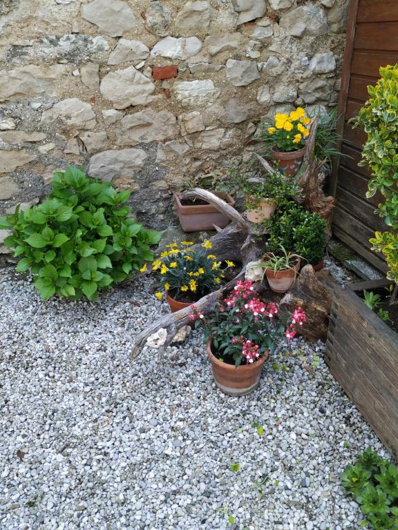 Zahrada ubytování B&B Casa Lisa