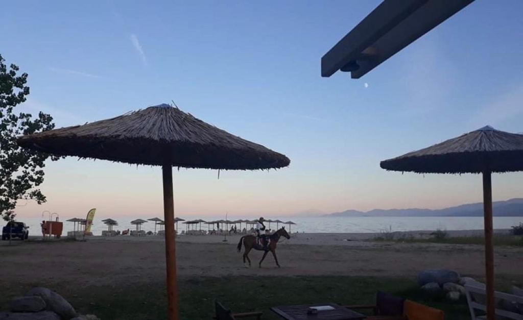 Táj az apartman közelében