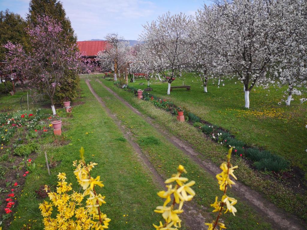 a garden with trees and flowers in the grass at Casa Livada Bunicii in Târgu Ocna