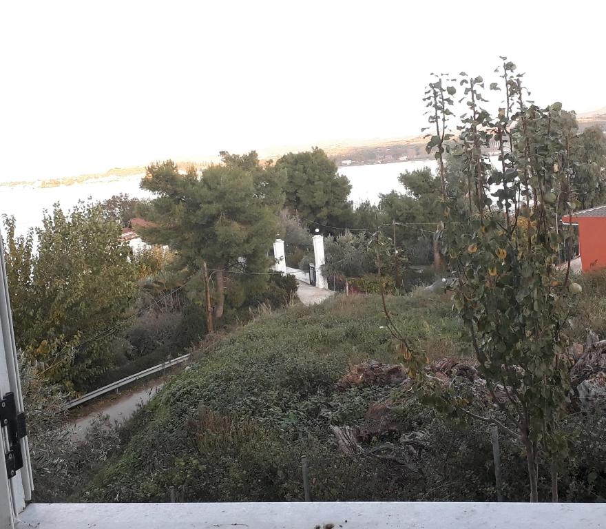 Amazing Sea View-Neos Pyrgos Beach -Evoia Greece - Casa De Una Habitación