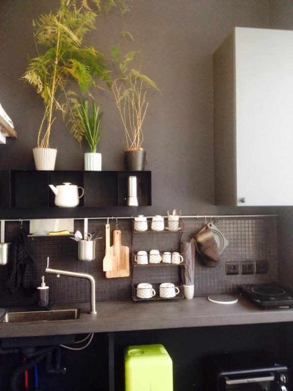 une cuisine avec un évier et des plantes sur le mur dans l'établissement Small arty studio Menilmontant, à Paris