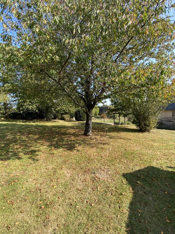 Zahrada ubytování La Petite Maison - No 4 La Relierie
