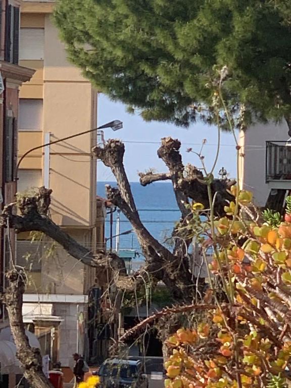 Príroda v okolí apartmánu