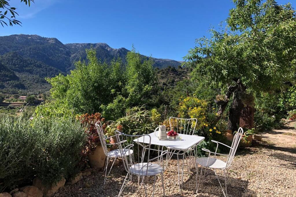 Fotografie z fotogalerie ubytování Sky Garden Mallorca - Ca'n Tomeu v destinaci Bunyola