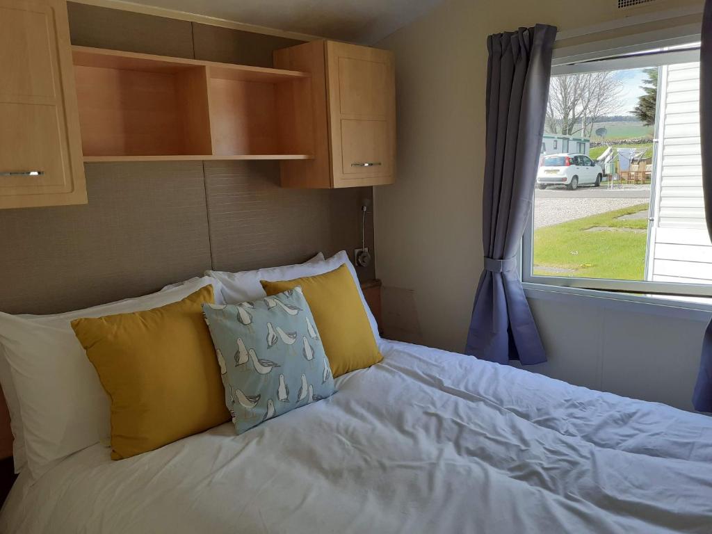 a bed with yellow and blue pillows next to a window at Kittiwake in Saint Cyrus