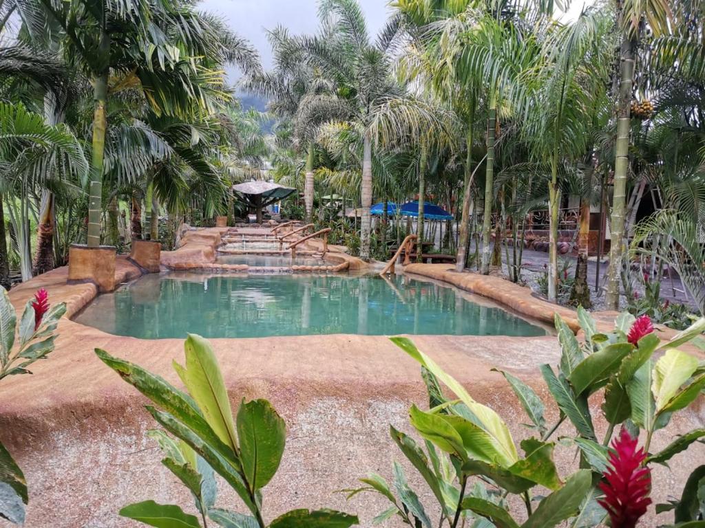 a pool in the middle of a resort with palm trees at Hotel Palmera Real Hot Springs in Fortuna