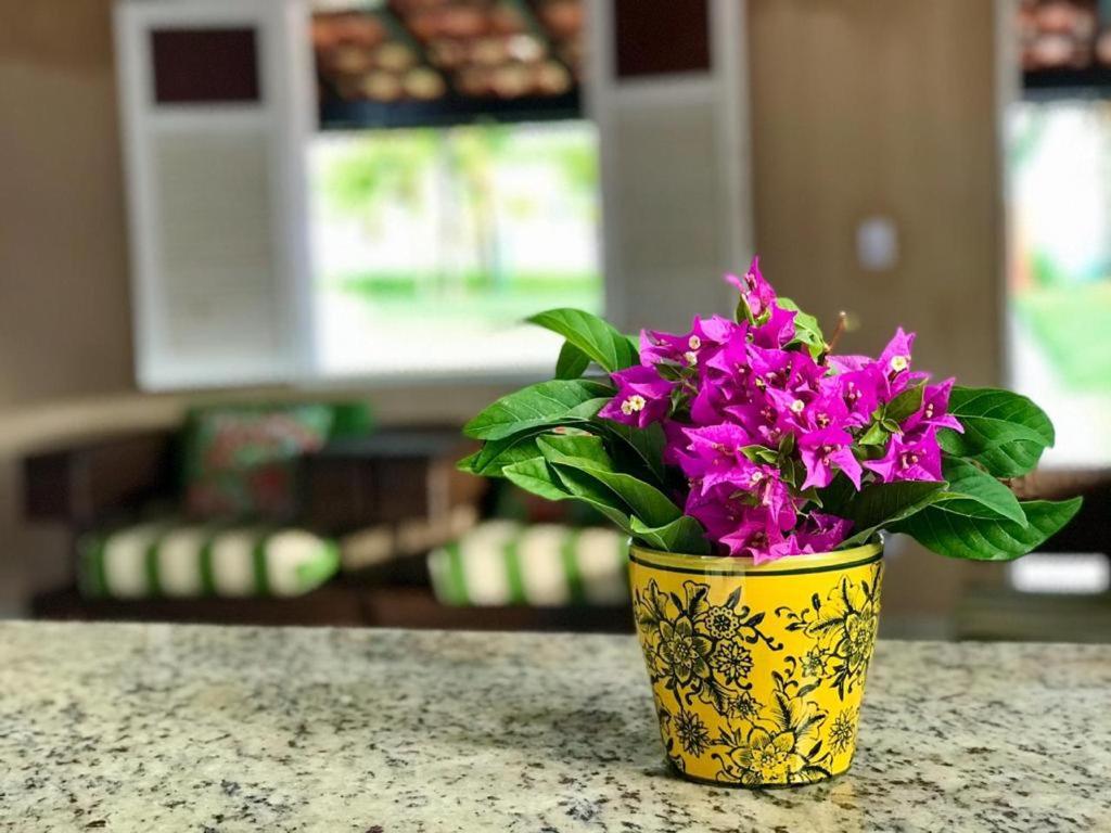  CASA BEIRA MAR COM A MELHOR LOCALIZAÇÃO. 34. (AREA EXTERNA PARADISÍACA)