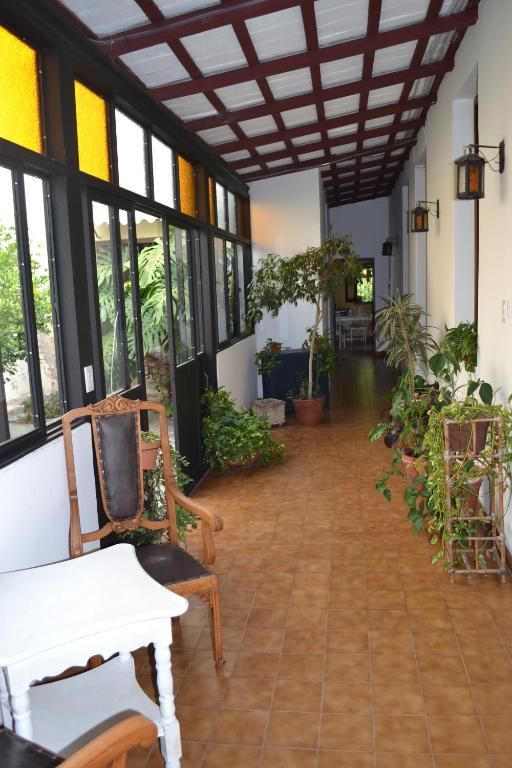 a room filled with lots of windows and plants at Casona Leguizamon in Salta