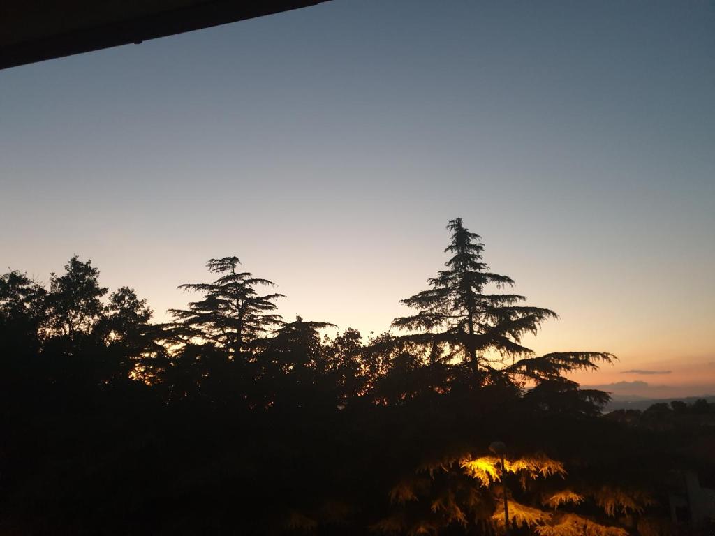 um pôr-do-sol com árvores em primeiro plano em Alloggio Turistico Montefiascone em Montefiascone