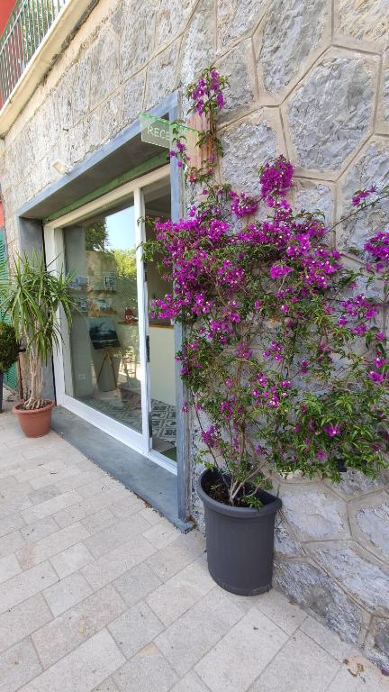 Zahrada ubytování B&B Via delle 5 Terre
