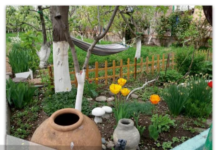 einen Garten mit Hängematte und ein paar Blumen in der Unterkunft Our Village in Ashtarak