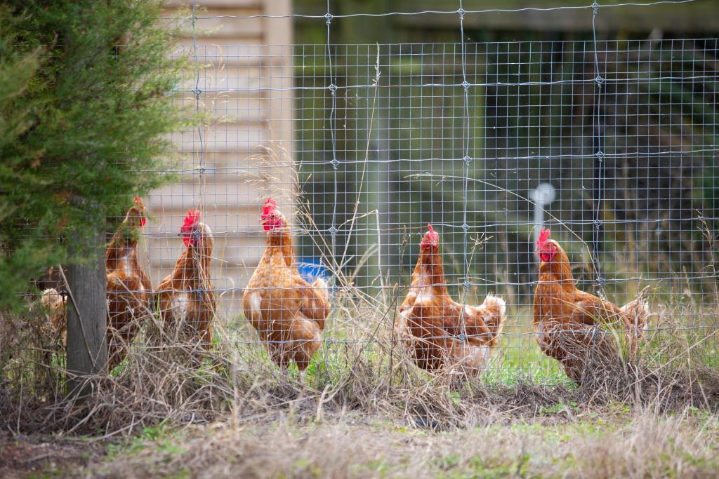 Hilltop Whakaipo Estate - Resim 29
