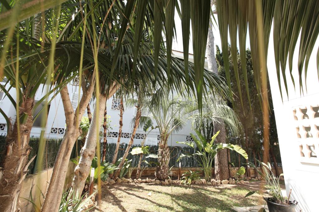 Zahrada ubytování Tropical garden, villa with pool near the beach