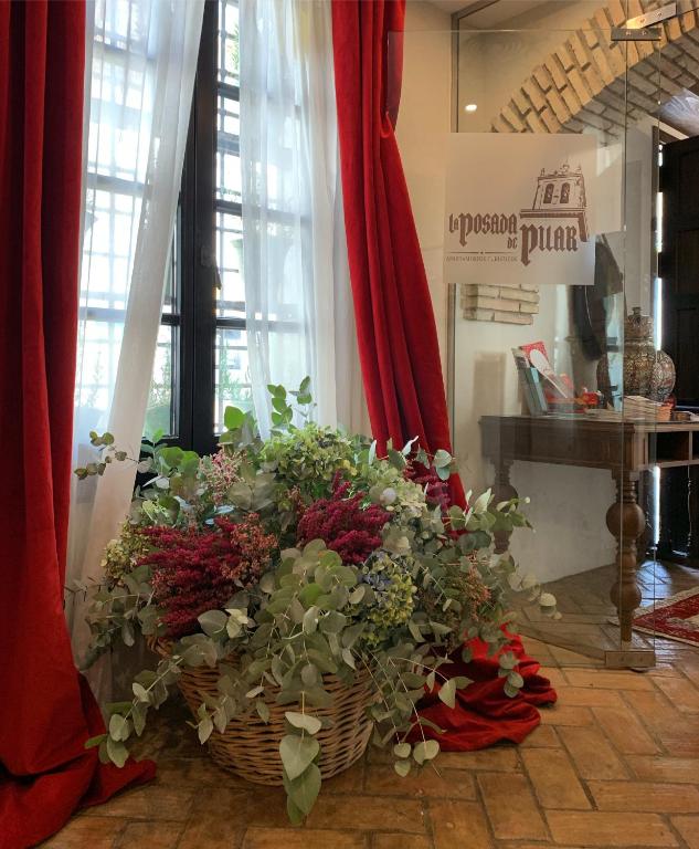 Suites La Posada De Pilar - Resim 44