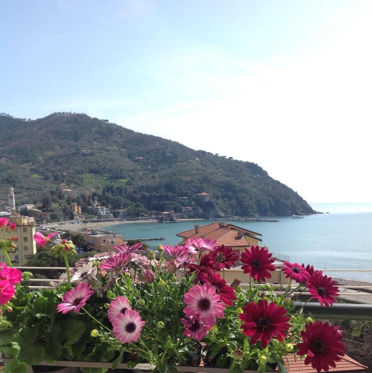 a bunch of flowers sitting on a ledge near the water at Chloé in Levanto
