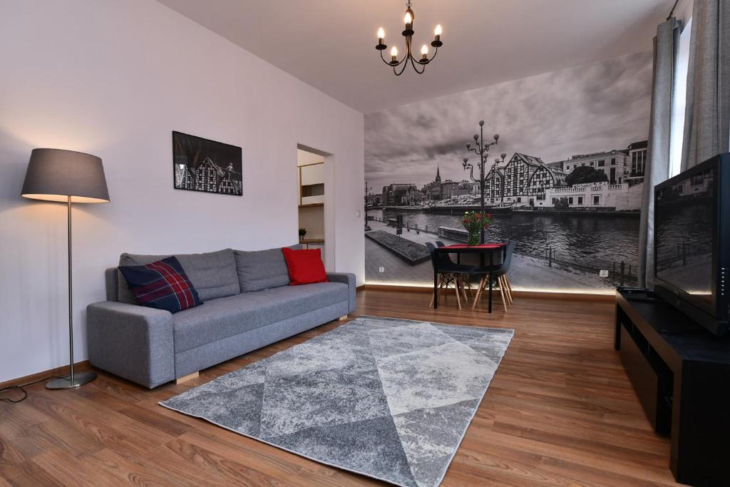 a living room with a couch and a tv at Apartamenty na Starówce in Bydgoszcz