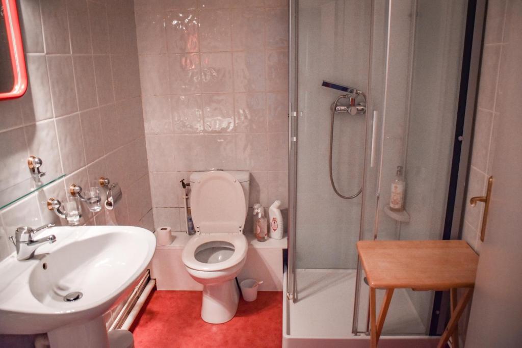 Utah Beach Chambre hote في سانت-ماري-دو-مونت: حمام مع مرحاض ومغسلة ودش
