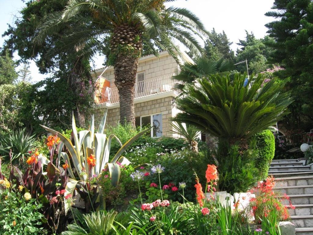 Guest House Villa Nina - 17