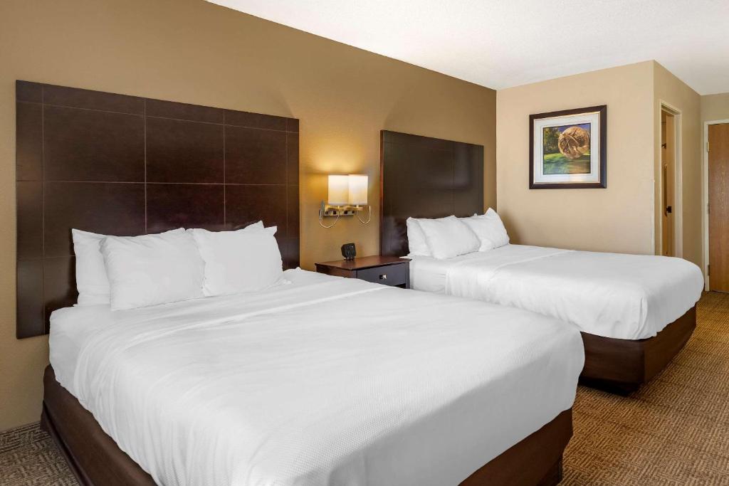 Comfort Inn & Suites Paw Paw photo