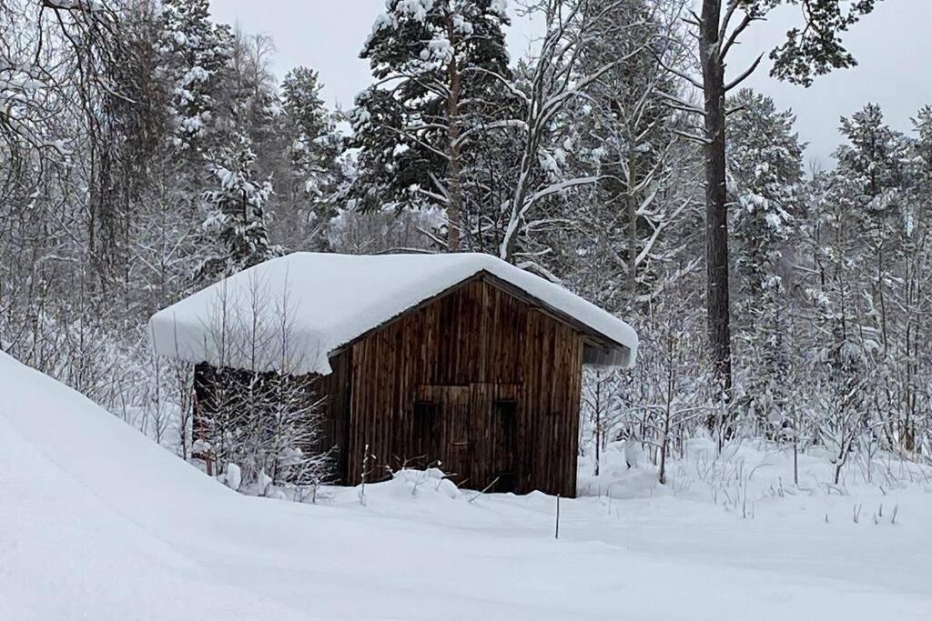 Naturnära boende i vackra Järvsö - H v zimě