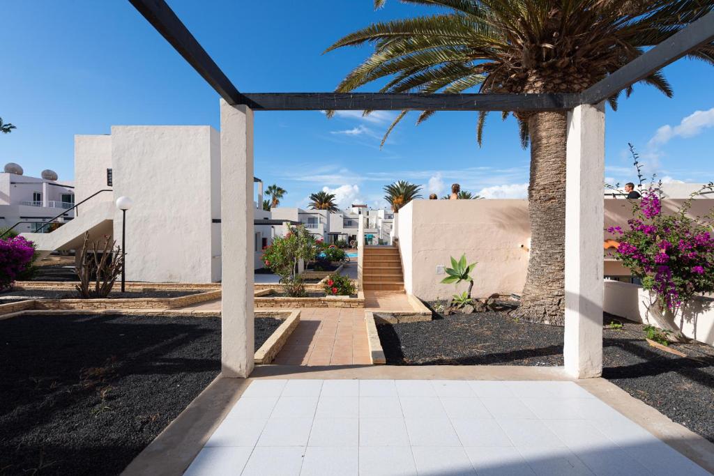 Apartamento 15 con terraza y piscina en Corralejo, Corralejo ...