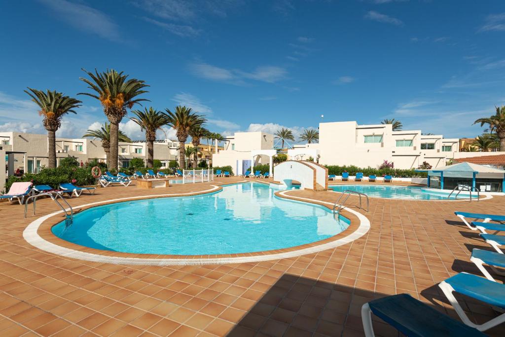 a pool with chairs and palm trees in a resort at HomeForGuest Apartamento 15 con terraza y piscina en Corralejo in Corralejo