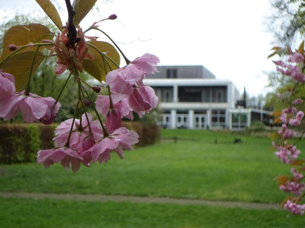 Zahrada ubytování Hotel Spelderholt