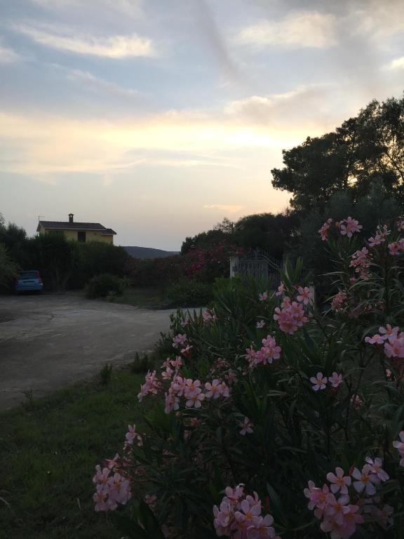 Casa del Mar PortoPino a Sant'Anna Arresi - Vista mare