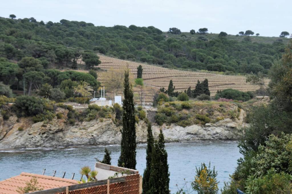 - une vue sur une rivière plantée d'arbres et de vignes dans l'établissement T3 familial avec accès direct à la plage., à Banyuls-sur-Mer