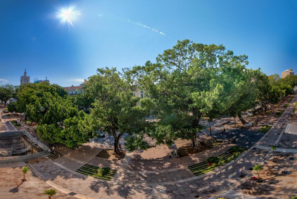Príroda v okolí apartmánu